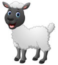 Cartoon funny sheep posing isolated on white background Royalty Free Stock Photo