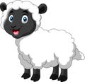 Cartoon funny sheep a smile