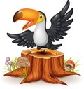 Cartoon funny toucan on tree stump