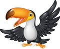 Cartoon funny toucan on white background