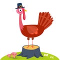 Cartoon funny turkey bird character for Thanksgiving illustration. Vector isolated Royalty Free Stock Photo