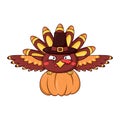 Cartoon funny turkey bird in a pilgrim hat carries a pumpkin for thanksgiving dinner. Royalty Free Stock Photo