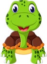 Cartoon funny turtle