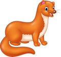 Cartoon funny Weasel on white background