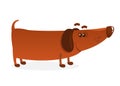 Cartoon Funny Weiner Dog. Vector Illustration.