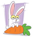 Cartoon funny white rabbit with big carrot Royalty Free Stock Photo