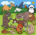 Cartoon funny wild animals characters group