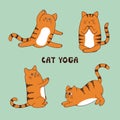 Cartoon funny yoga cat vector illustration. Animal fitness