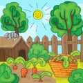 Cartoon garden with carrots, vector illustration Royalty Free Stock Photo