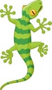 Cartoon gecko