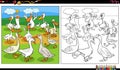 cartoon geese birds farm animal characters group coloring page Royalty Free Stock Photo