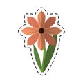 Cartoon gerbera flower spring ornament Royalty Free Stock Photo