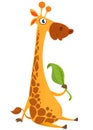 Cartoon giraffe character. Vector illustration funny giraffe eating a leaf and smiling Royalty Free Stock Photo