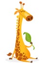 Cartoon giraffe character. Vector illustration funny giraffe eating a leaf and smiling Royalty Free Stock Photo