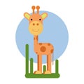 Cartoon giraffe character. Vector illustration isolated Royalty Free Stock Photo