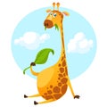 Cartoon giraffe character. Vector illustration pretty giraffe eating a leaf and smiling Royalty Free Stock Photo