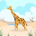 Cartoon Giraffe Desert Sand Colorful Flat Retro Royalty Free Stock Photo