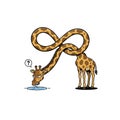 ?Funny Cartoon Giraffe with Neck Twisted into Infinity Symbol Drinking Water, Absurd Vector Illustration Royalty Free Stock Photo