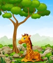 Cartoon giraffe sitting in the jungle