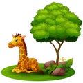 Cartoon giraffe sitting under a tree on a white background Royalty Free Stock Photo