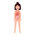 Cartoon girl body anotomy illustration - inner organs lungs, liver, stomach, uterus, heart, intensive Royalty Free Stock Photo