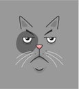 Cartoon gloomy cat face background Royalty Free Stock Photo