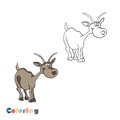 Cartoon goat. Vector illustration in the form of coloring and color example