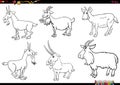 cartoon goats farm animal characters set coloring page Royalty Free Stock Photo