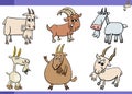 cartoon goats farm animals comic characters set Royalty Free Stock Photo