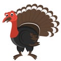 Cartoon gobbler Vector Illustration