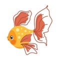 Cartoon golden fish. Aquarium goldfish mockup. Marine tropical animal. Isolated aquatic creature with yellow scales and Royalty Free Stock Photo