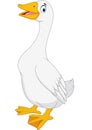 Cartoon goose on white background