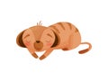 Cartoon gopher sleeps on his stomach. Vector illustration on white background.