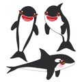 Cartoon grampus orca set, killer whale, sea wolf Kawaii with pink cheeks and positive smiling on white background. Vector