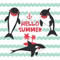 Cartoon grampus set. Hello Summer, orca, killer whale, sea wolf Kawaii with pink cheeks and positive smiling on blue waves sea oce