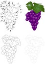 Cartoon grapes. Dot to dot game for kids