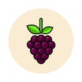 Cartoon grapes icon