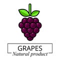 Cartoon grapes label