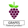 Cartoon grapes label vector