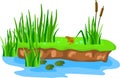 Cartoon grass and canes on a bump in the swamp. Royalty Free Stock Photo
