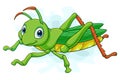 Cartoon grasshopper isolated on white background Royalty Free Stock Photo