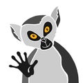 Cartoon gray lemur portrait on white