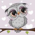 Cartoon Gray owl is sitting on a branch