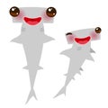 Cartoon gray Smooth hammerhead Winghead shark Kawaii with pink cheeks and winking eyes positive smiling on white background. Vecto