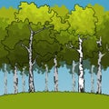 Cartoon green birch forest on a green meadow
