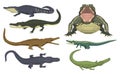 Cartoon green crocodile danger predator and australian wildlife river reptile carnivore alligator with scales teeth flat