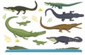 Cartoon green crocodile danger predator and australian wildlife river reptile carnivore alligator with scales teeth flat