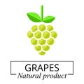 Cartoon green grapes label vector