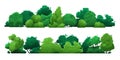 Cartoon green hedge. Floral shrub with leaves, botanical garden plants with branches, simple stylized bush fence. Vector Royalty Free Stock Photo