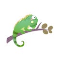 A cartoon green iguana on a branch Royalty Free Stock Photo